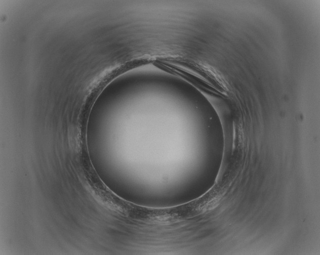 X0000074940540200609081353