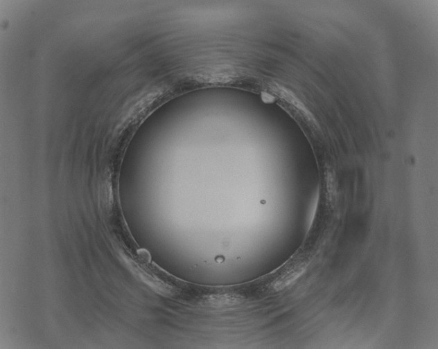 X0000074940541200609081353