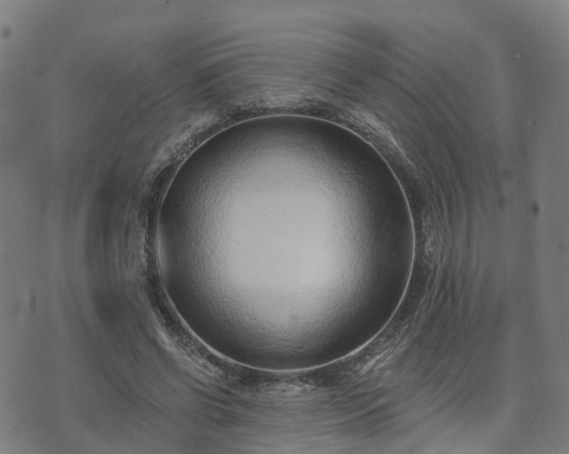 X0000074940542200609081353