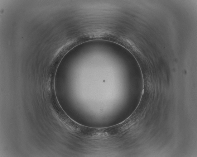 X0000074940543200609081353