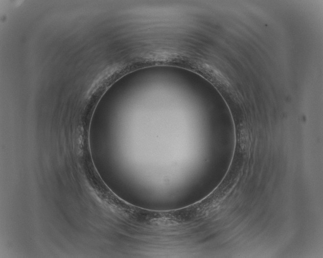 X0000074940544200609081353