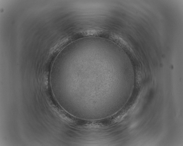 X0000074940545200609081353