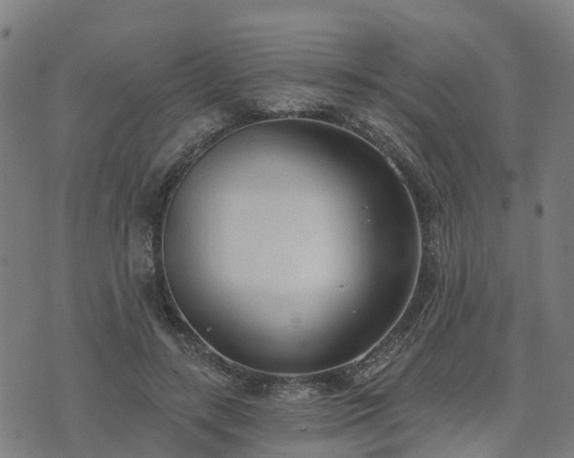 X0000074940547200609081353