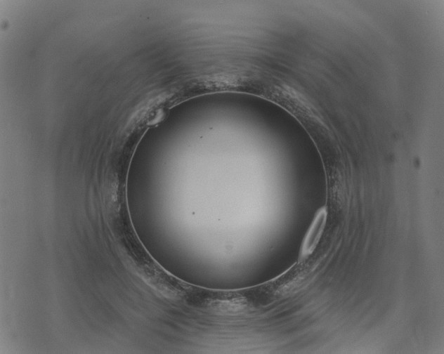 X0000074940548200609081353