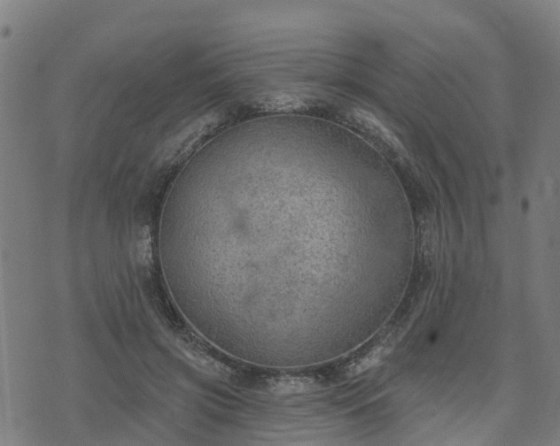 X0000074940549200609081353