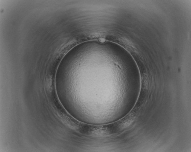 X0000074940550200609081353