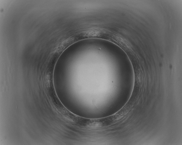 X0000074940551200609081353