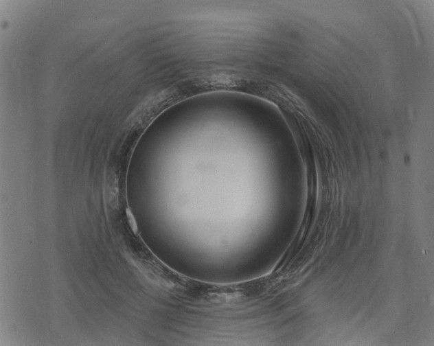 X0000074940552200609081353