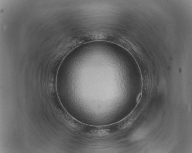 X0000074940553200609081353