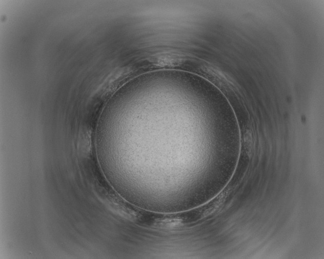 X0000074940554200609081353