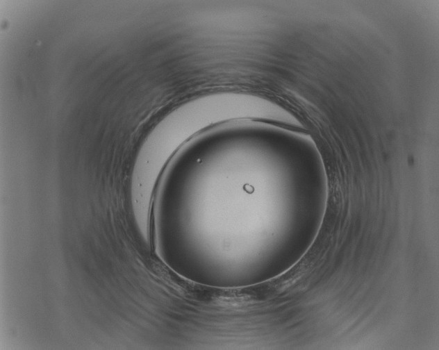 X0000074940556200609081354