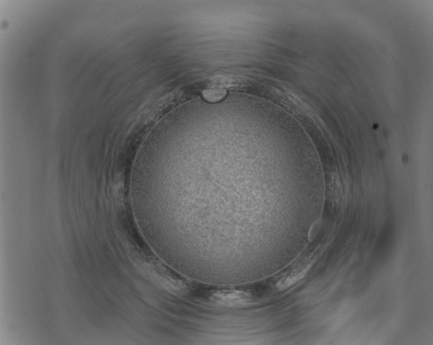 X0000074940557200609081354