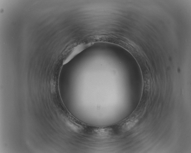 X0000074940558200609081354