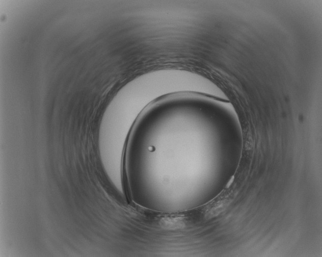 X0000074940560200609081354