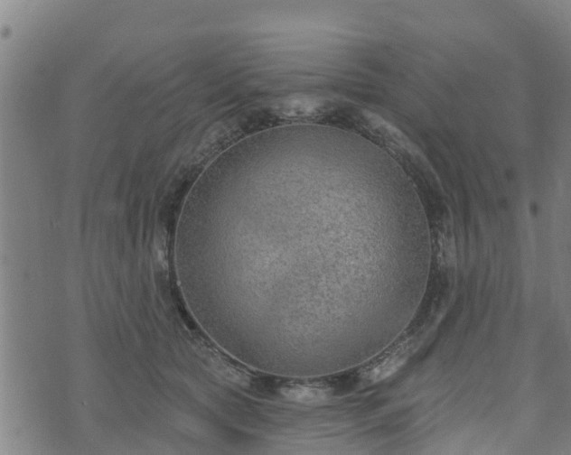 X0000074940561200609081354