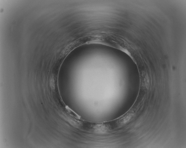 X0000074940562200609081354