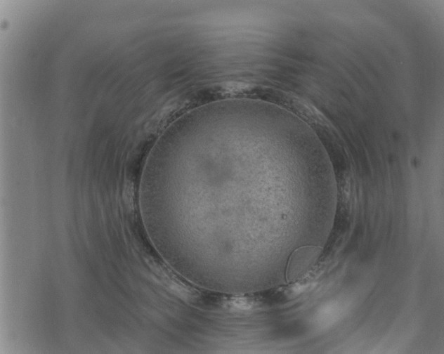 X0000074940565200609081354