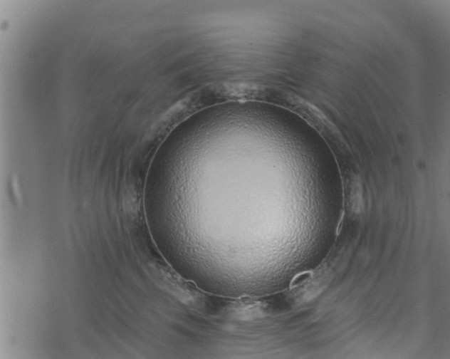 X0000074940569200609081354