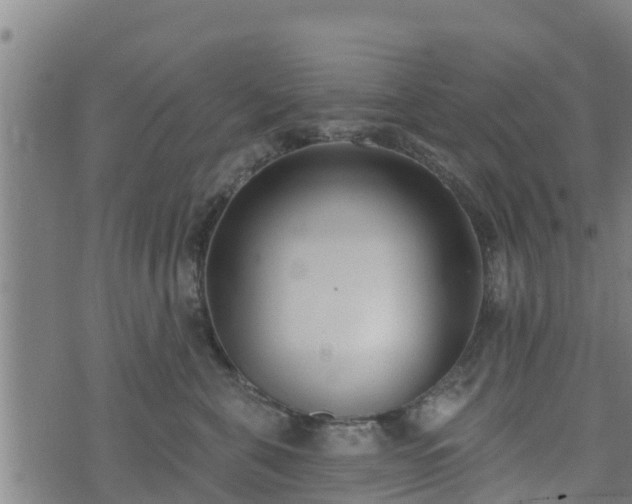 X0000074940571200609081354