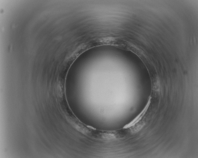 X0000074940572200609081354