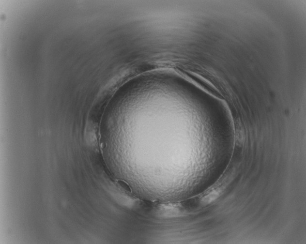 X0000074940573200609081354