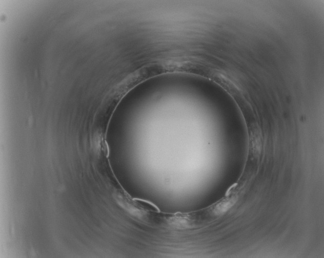 X0000074940574200609081354