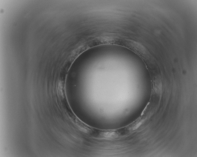 X0000074940575200609081354