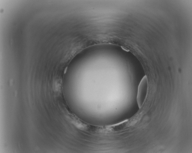 X0000074940576200609081354