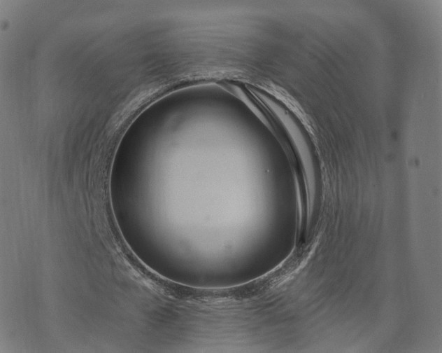 X0000074940577200609081353