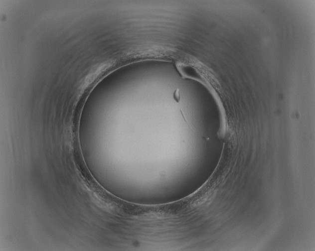 X0000074940578200609081353