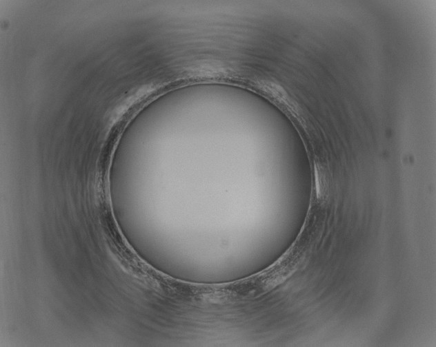 X0000074940579200609081353