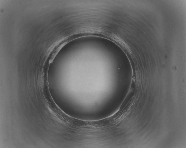 X0000074940580200609081353