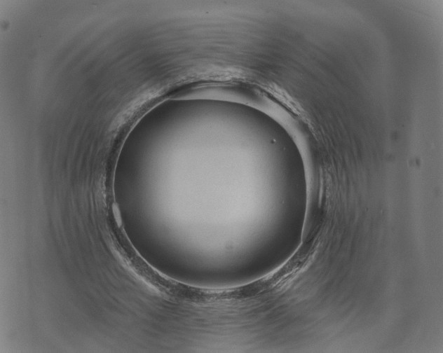 X0000074940581200609081353