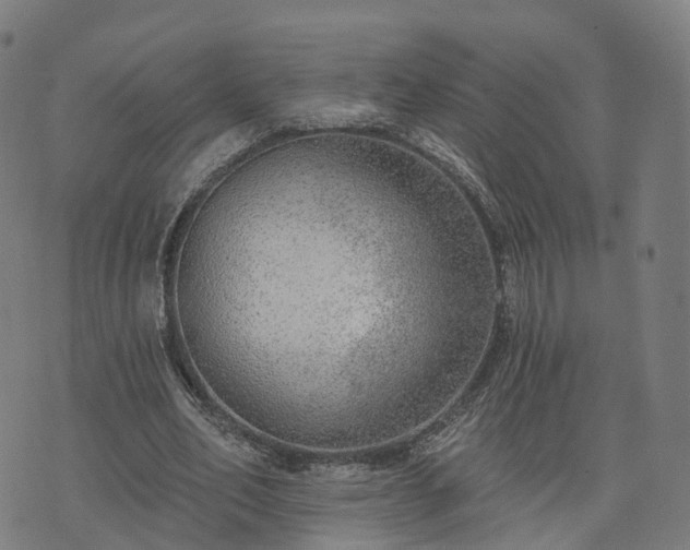 X0000074940582200609081353