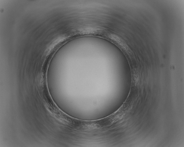 X0000074940583200609081353