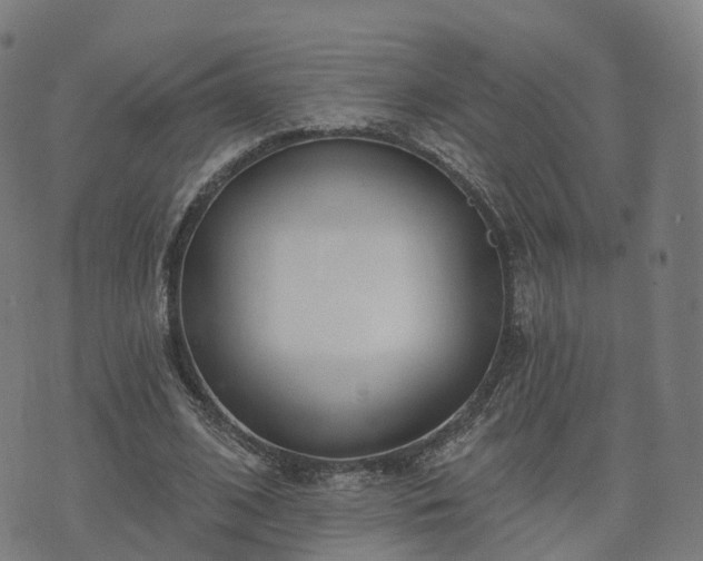 X0000074940584200609081353