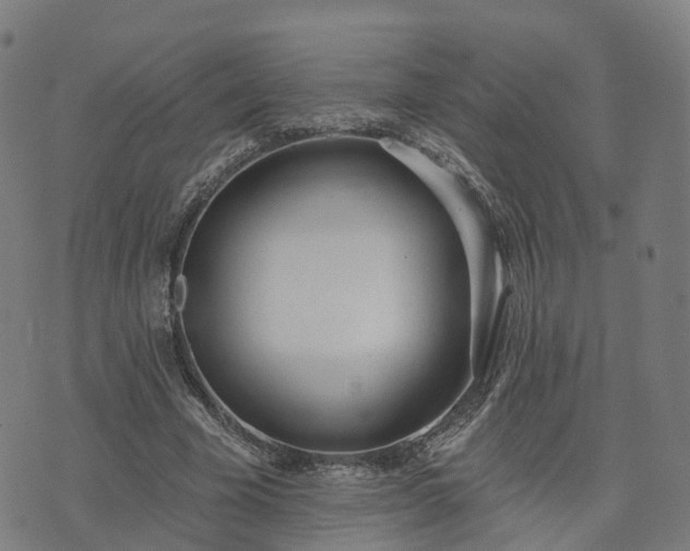 X0000074940585200609081353