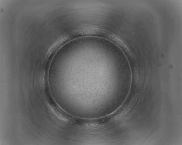 X0000074940586200609081353