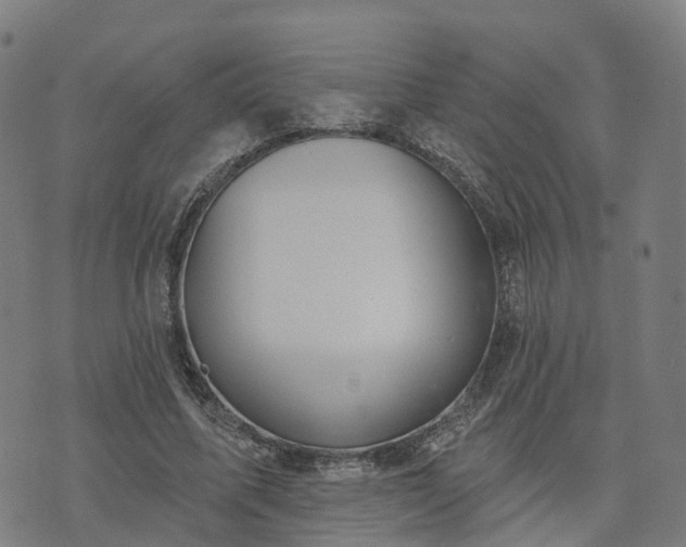 X0000074940587200609081353