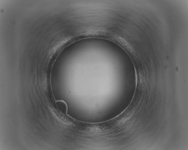 X0000074940588200609081353