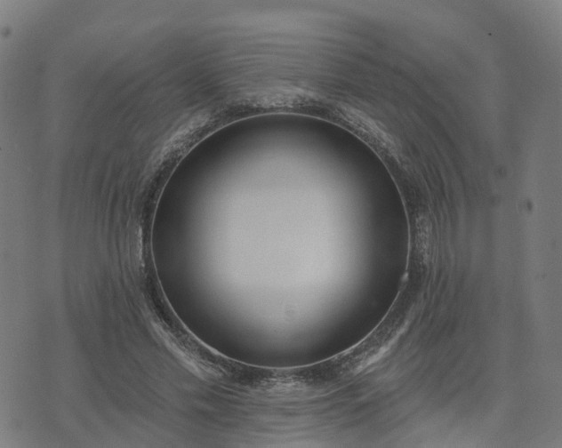 X0000074940589200609081353