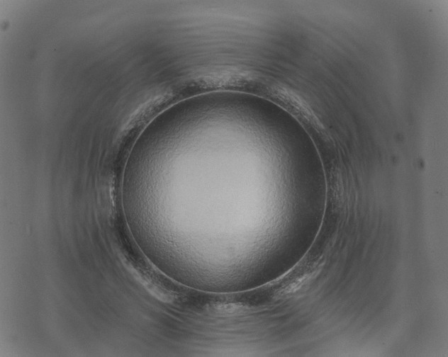 X0000074940590200609081353