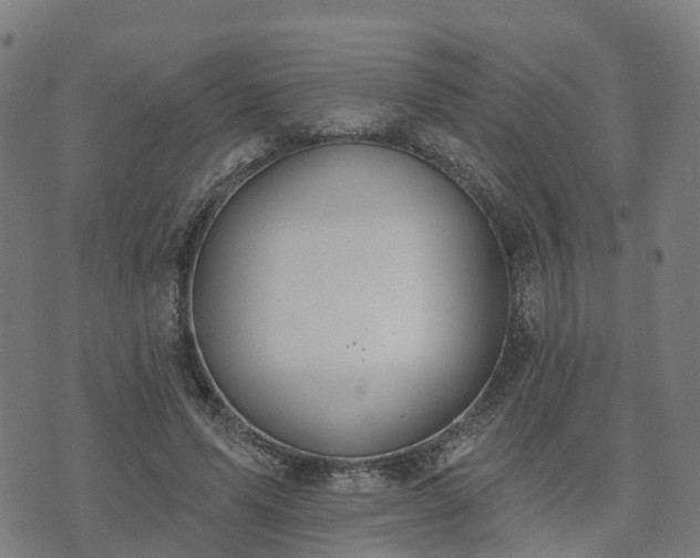 X0000074940591200609081353