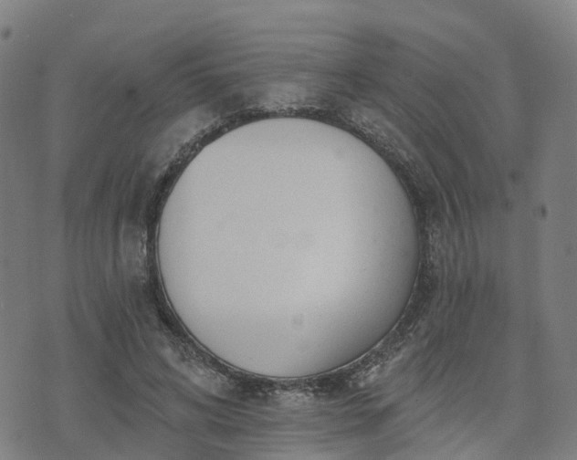 X0000074940592200609081353