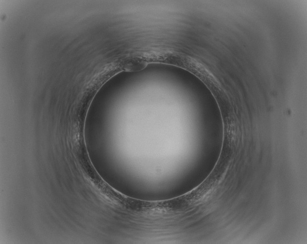 X0000074940593200609081353