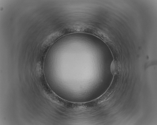 X0000074940594200609081353