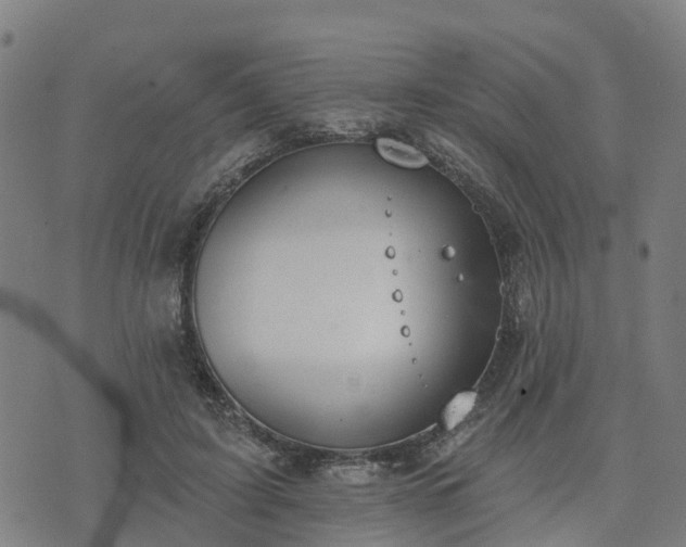 X0000074940595200609081353