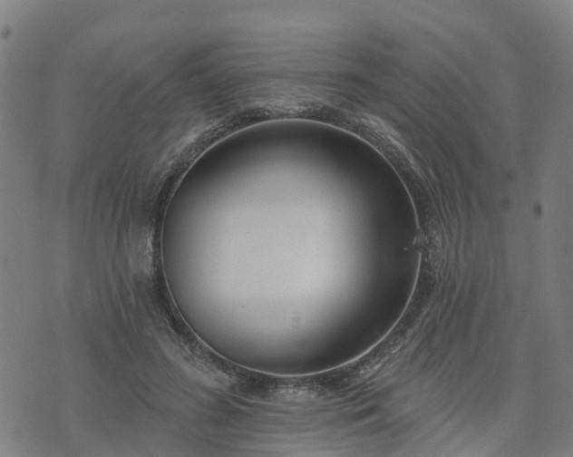 X0000074940596200609081353