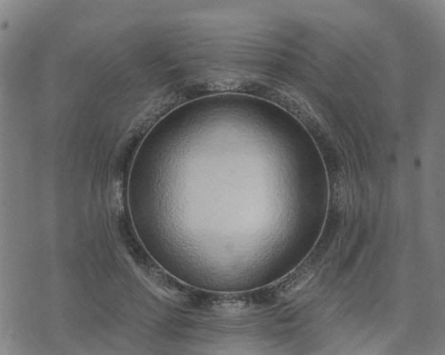 X0000074940598200609081353