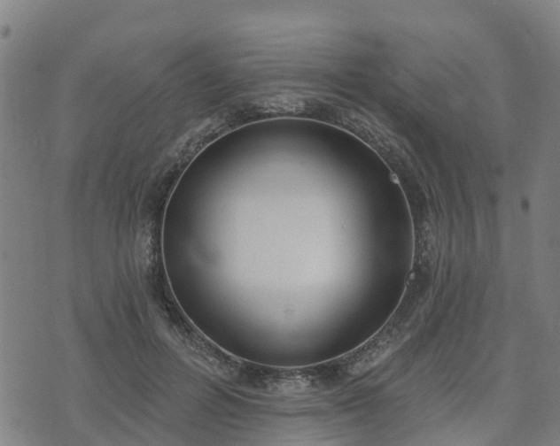 X0000074940600200609081353